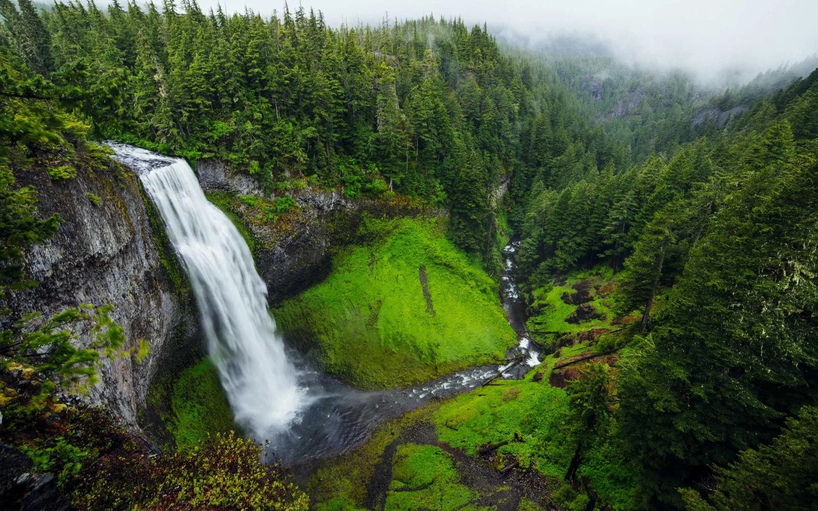 A waterfall cascading into a moss-covered forest gorge