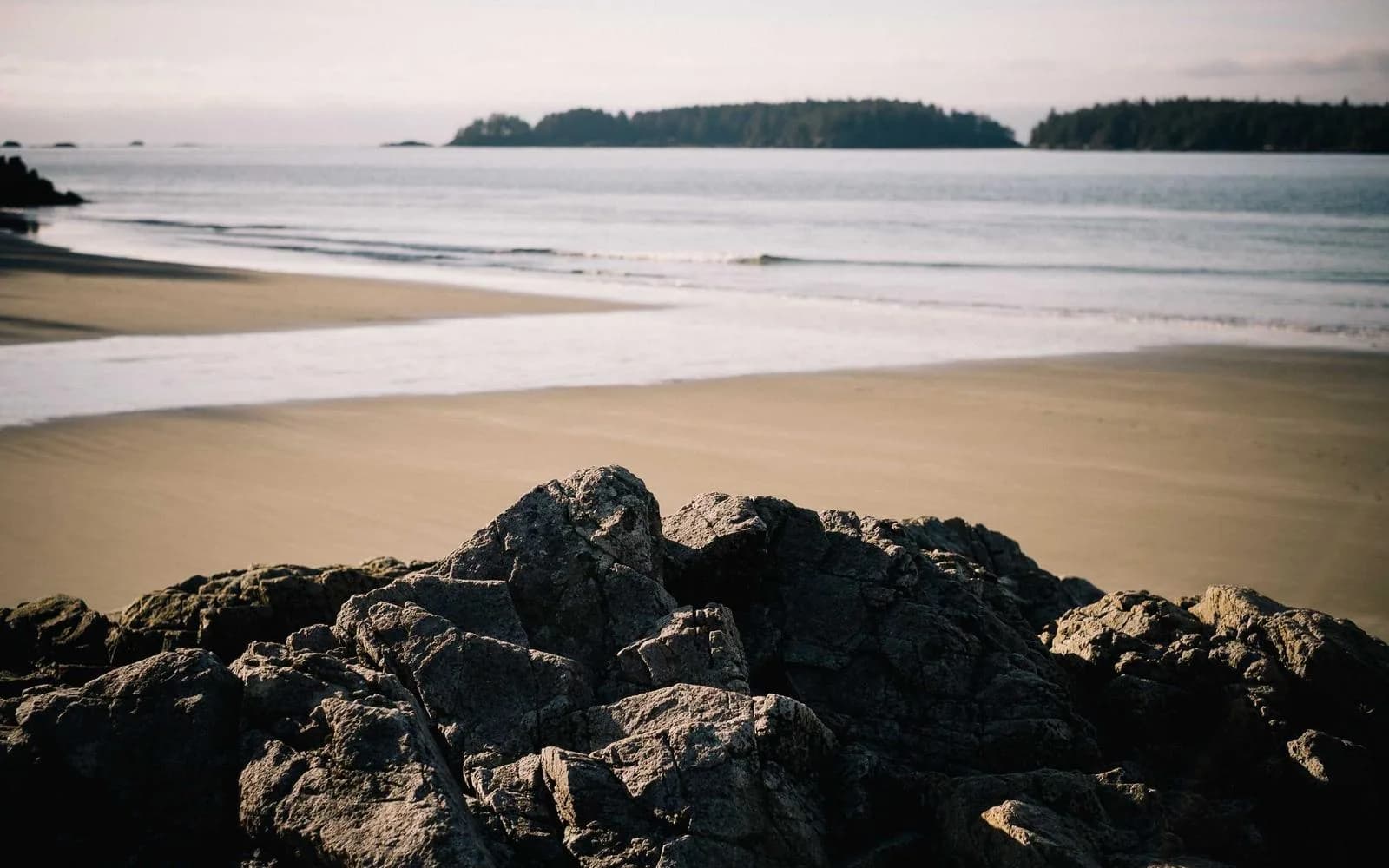 A rocky shoreline with a sandy beach and forested island beyond